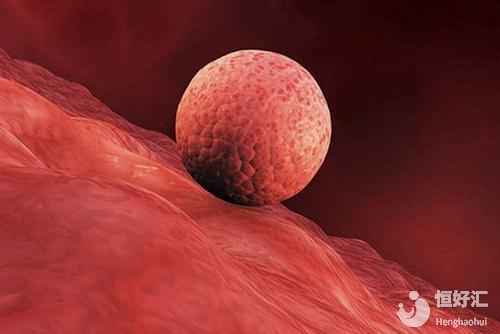 試管嬰兒人工周期跟自然周期有哪些區(qū)別？