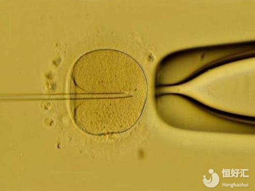 3點不建議做試管嬰兒的原因，網(wǎng)友直呼心酸