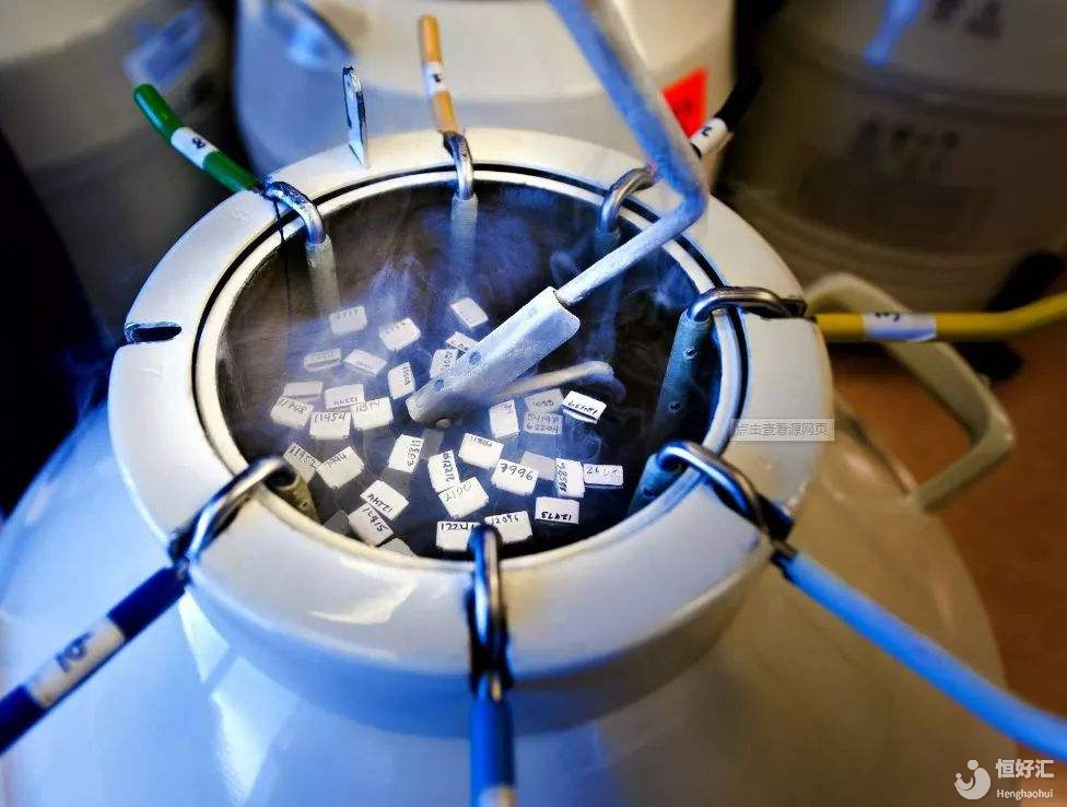 凍胚移植前的調(diào)養(yǎng)方法，勉強(qiáng)告訴你五小點(diǎn)吧！