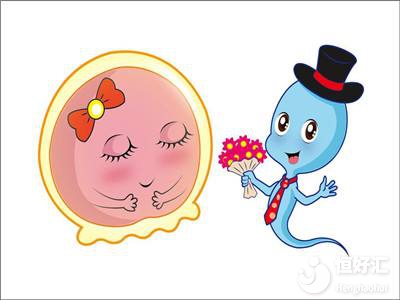 試管嬰兒的成功率能夠保證嗎？