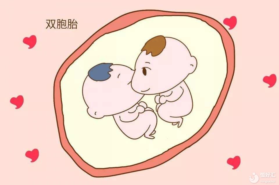 試管嬰兒的雙胞胎可以自由選擇嗎？