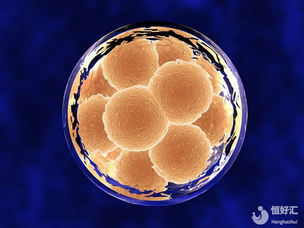 中、美兩國(guó)試管嬰兒成功率大對(duì)比！究竟哪家強(qiáng)？