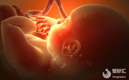 胎寶寶的“變身記”，快速了解震撼的一面！