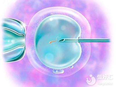 試管嬰兒取卵數(shù)量多，為何可用數(shù)量卻很少？