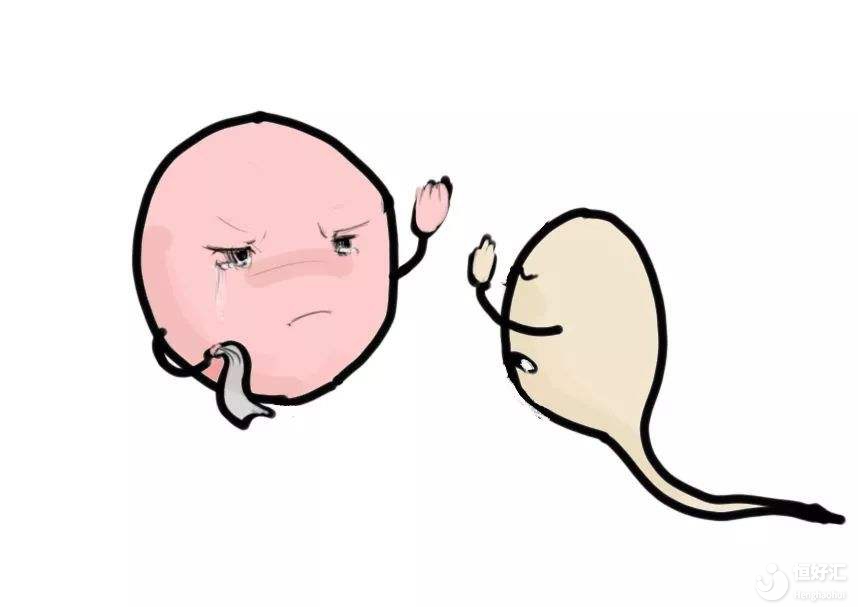 震驚！捐卵女孩切卵巢？為什么要捐卵？