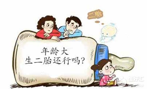 做試管嬰兒能否健康生娃？了解這4點你就知道答案了