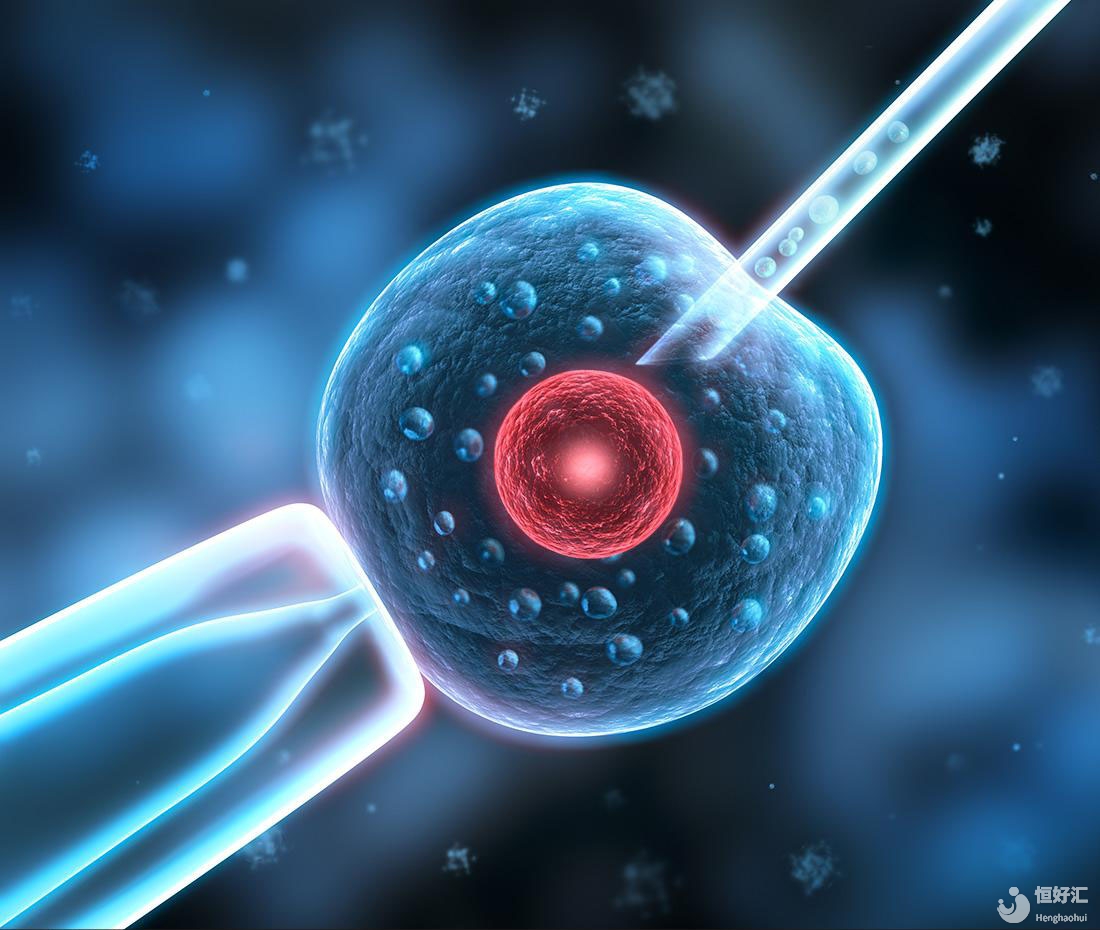 試管嬰兒有哪些費(fèi)用呢？想要明細(xì)表么？