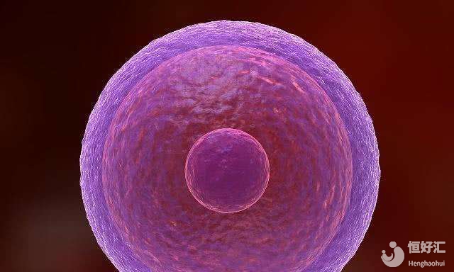 試管嬰兒移植前哪些注意事項(xiàng)，可以提高試管成功率？