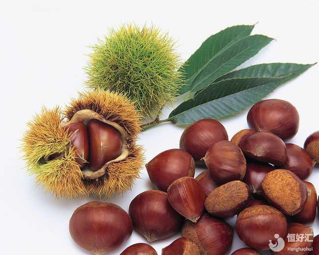 試管媽媽在備孕期間可以吃板栗嗎？