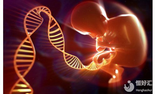 要想提高海外試管嬰兒成功率，就得知道這2點(diǎn)！