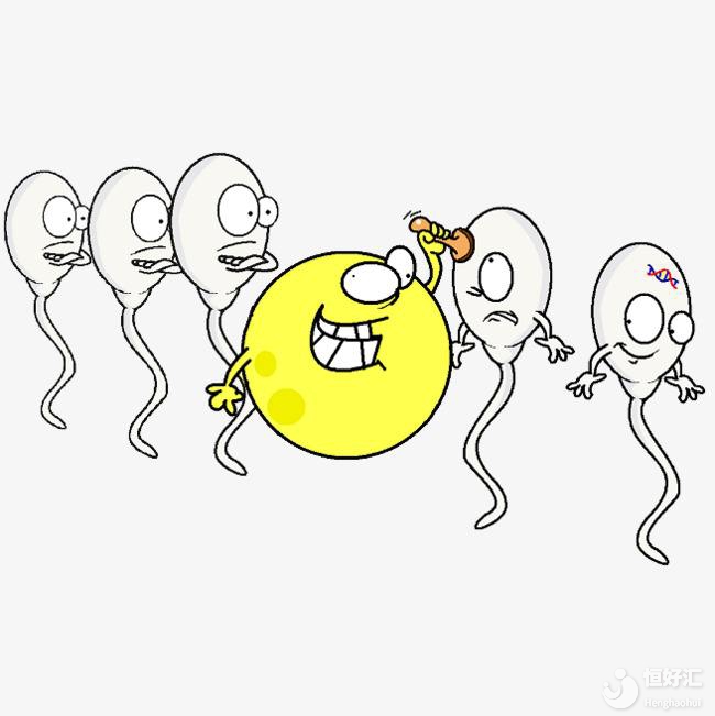 什么？老婆懷不上寶寶？你的精子濃度測了嗎？