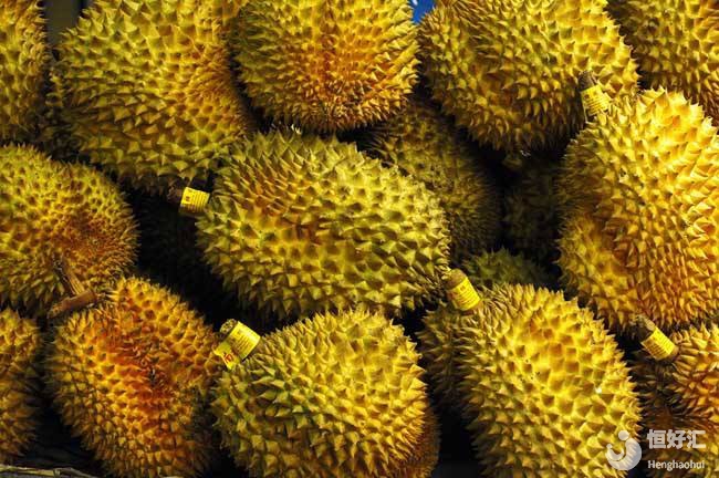 榴蓮獨(dú)特的“香味”勾引著試管媽媽，試管媽媽可以吃榴蓮嗎？