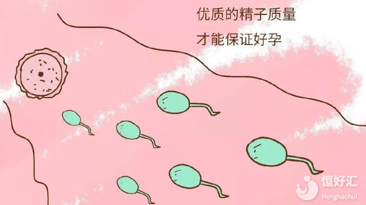 備孕要注意以下事項(xiàng)，著重提高生育力才是重點(diǎn)！