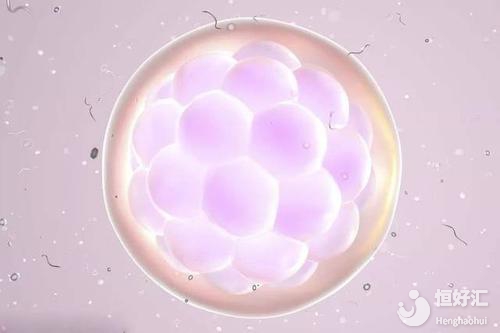 做試管嬰兒還會(huì)有空卵泡的情況？為什么？