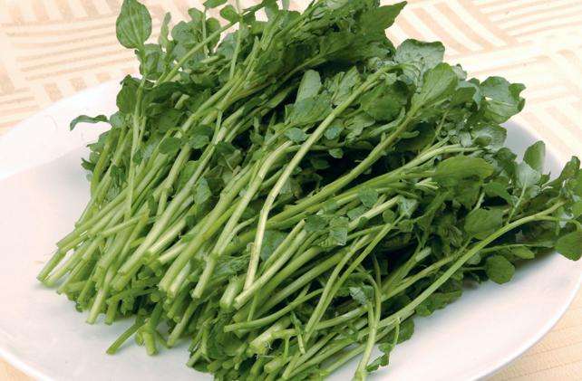 冬天了，要打火鍋，試管媽媽可以放西洋菜吃嗎？