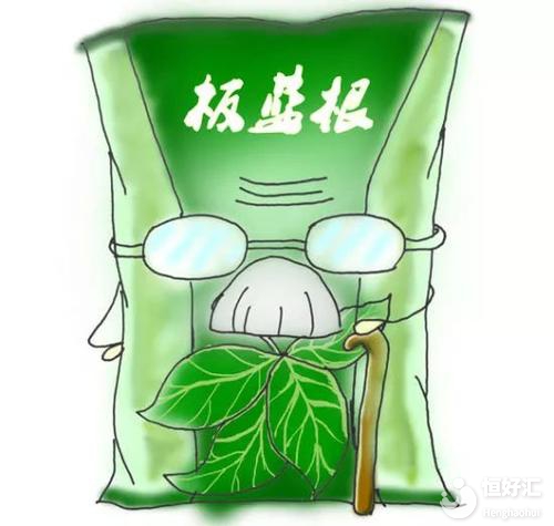 備孕感冒怎么辦？試管媽媽可以喝板藍(lán)根嗎？