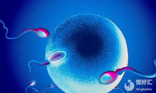 做泰國(guó)試管嬰兒治療，怎么取得高質(zhì)量的卵子？