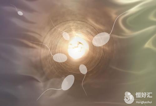 試管嬰兒移植多個(gè)胚胎就能保障成功率了嗎？