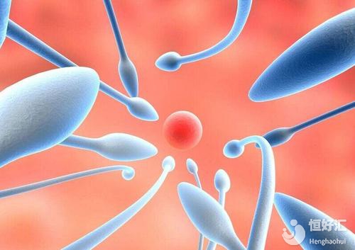 試管小常識(shí)：試管嬰兒為何重視對(duì)精子跟卵子的篩選？