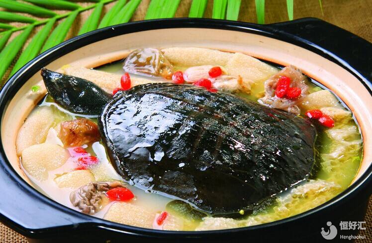 東海神龜可以吃？錯了，那是鱉，試管媽媽可不能吃哦！