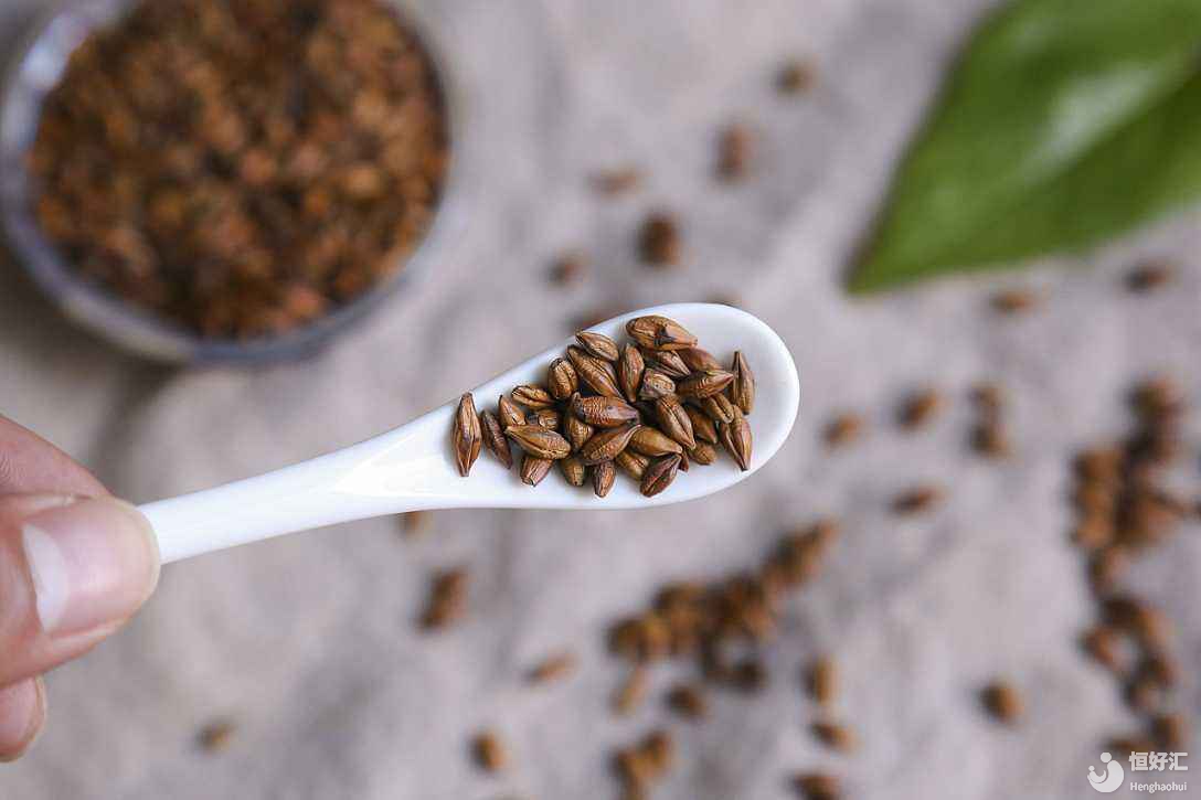 備孕喝什么？試管媽媽可以喝大麥茶嗎？