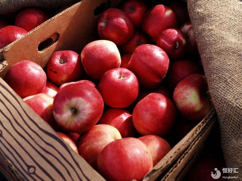 平安夜吃蘋果，試管媽媽可以吃蘋果嗎？