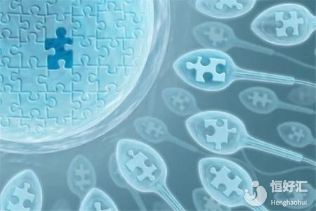 試管嬰兒成功關鍵是這些，可惜很多人不知