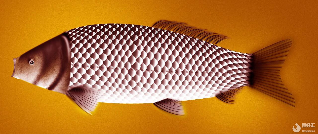 嘗一口鯽魚豆腐湯，縱享絲滑！問題來了，試管媽媽可以食用嗎？