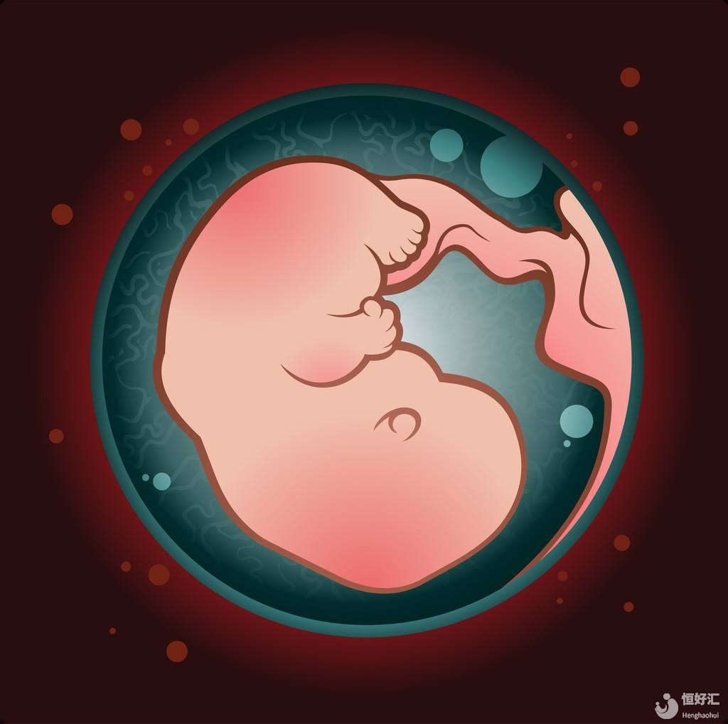 神奇的胚胎寶寶如何與試管媽媽聯(lián)系，成功著床呢？