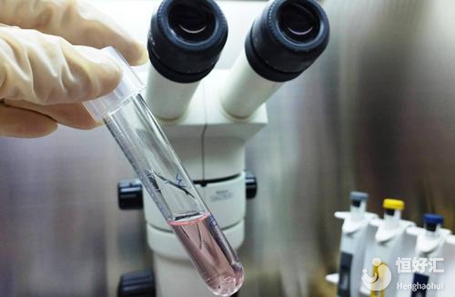 泰國試管嬰兒可不是想做就做，要有這些才行