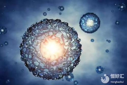 胚胎寶寶意外消亡？怎么回事？