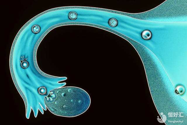 女性不孕不育的檢查項(xiàng)目，請(qǐng)查收?。ㄏ拢? /></a>
	<div   id=