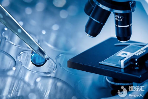 美國(guó)試管嬰兒的成功率跟卵泡有關(guān)系嗎？