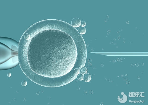 這些因素決定著試管嬰兒成功率，早看早知道！