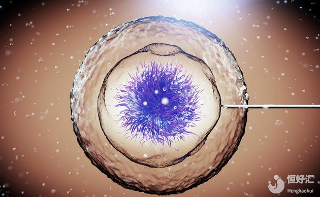 試管嬰兒冷凍胚胎成功率高不高？首先要看這幾點