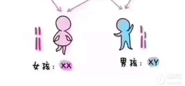 做廣州試管嬰兒真的能優(yōu)先選擇性別嗎？