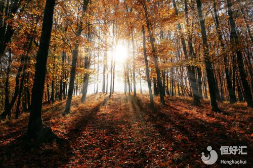 備孕疑問：最適合受孕的季節(jié)是秋天？