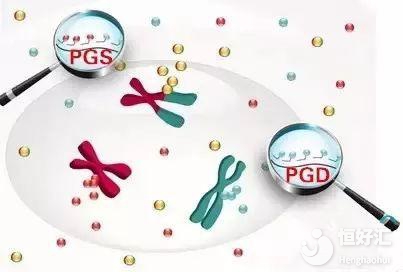 海外試管嬰兒安全嗎？會(huì)不會(huì)遺傳父母的疾??？