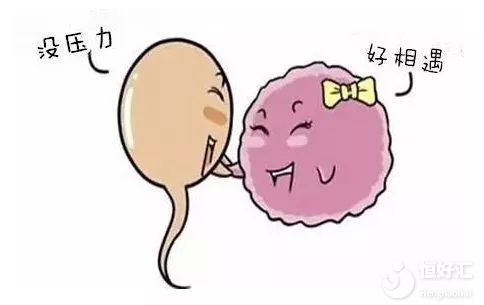 關(guān)于備孕的這3大疑問，你都解決了嗎？