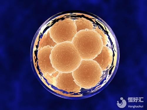 一個好的試管嬰兒胚胎應該如何選擇？