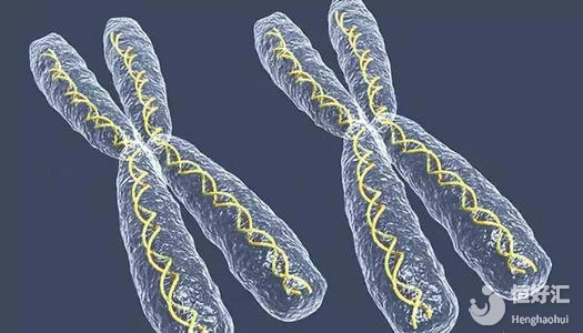 高齡女性做天津試管嬰兒能避免染色體異常嗎？