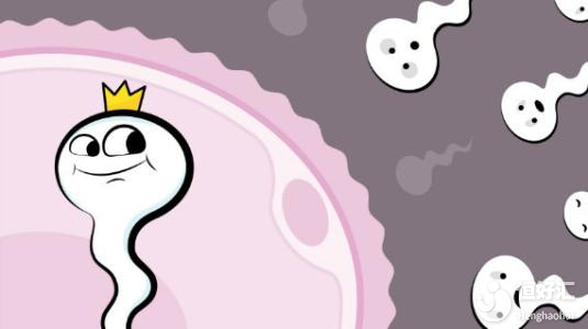 卵子質(zhì)量低染色體異常如何做泰國(guó)試管嬰兒？