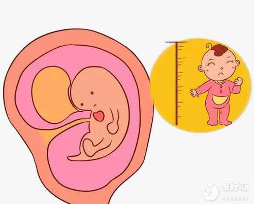 孕前3招訣竅保暖子宮，助你快速懷上鼠寶寶！