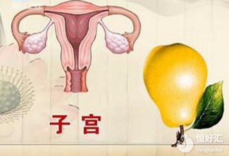 子宮保養(yǎng)方法多樣化，這種“食法”可一試