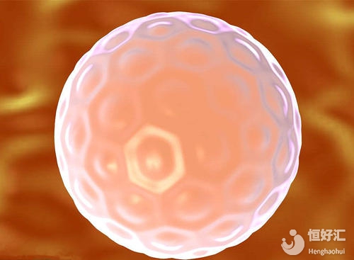 揭秘神奇時(shí)刻：試管嬰兒如何移植到女性體內(nèi)？