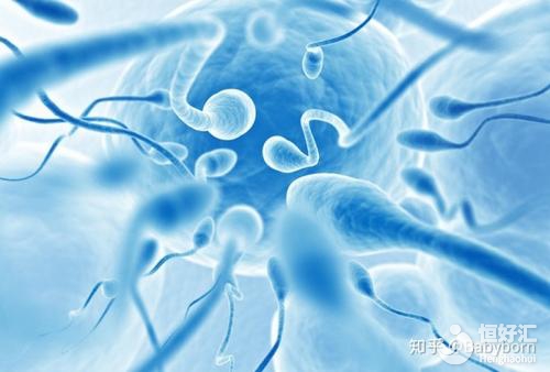 云浮試管嬰兒如何獲得精子跟卵子？