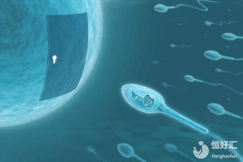 做廣州試管嬰兒女方條件起決定性作用？