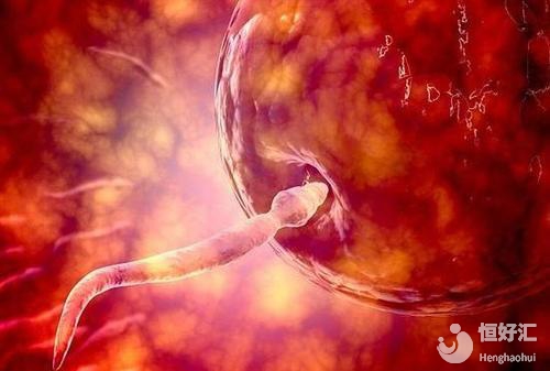 白領(lǐng)女性看過來！掌握這3點(diǎn)訣竅讓你輕松受孕