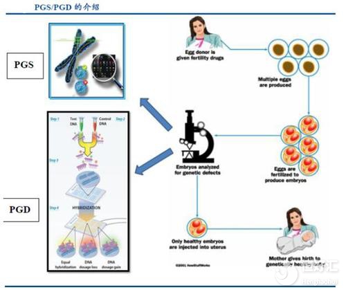 揭秘第三代試管嬰兒，或許跟你想象中有點(diǎn)不一樣