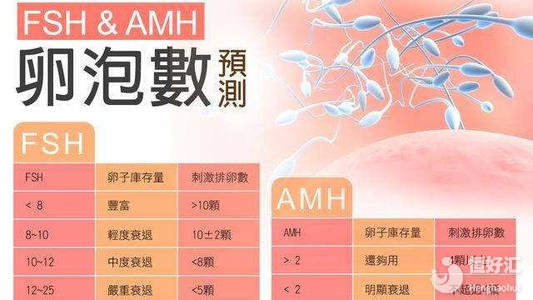 年齡的影響最大！女性AMH正常值詳細介紹
